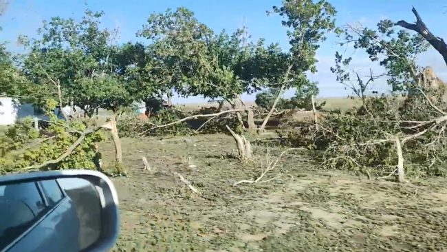 Kazakistan'da kasırga: OHAL ilan edildi